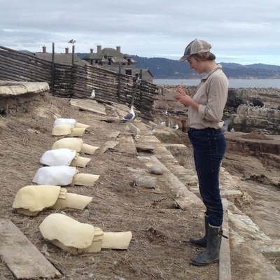 A biologist from Oikono Ecosystem Knowledge records breeding seabirds' use of durable ceramic nests customized to withstand high temperatures and erosion on Ao Nuevo Island.