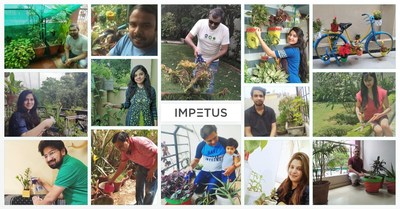 Impetus employees celebrating World Environment Day