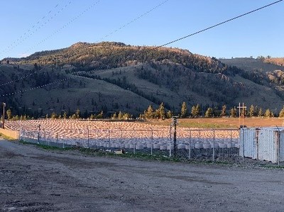 The completed outdoor field on a beautiful spring evening (CNW Group/Speakeasy Cannabis Club Ltd.)