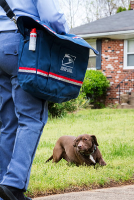 USPS 2020 Dog Bite Campaign runs June 14-20