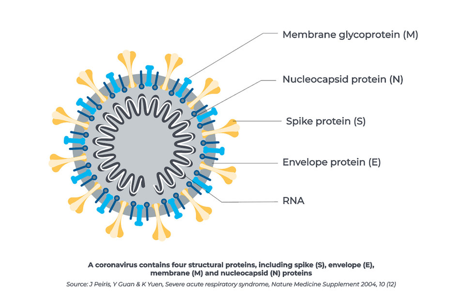 Prueba De Detección De Anticuerpos Sars Cov 2 Igg De Beckman Coulter