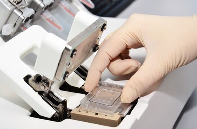 Unable to view the image, Please provide a valid URL.