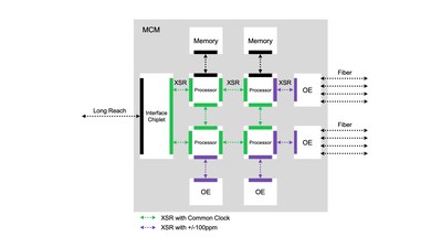 Multi-Chip System Using Rambus 112G XSR Interfaces