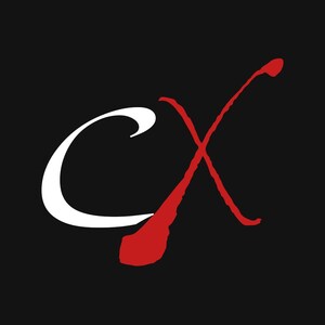 Statement by CasualX in Response to the Report of a Massive Data Breach