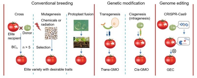 Crispr Technology Could Democratise Agriculture Says Idtechex