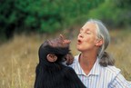 Pioneer Conservationist Jane Goodall Awarded 2020 Tang Prize in Sustainable Development