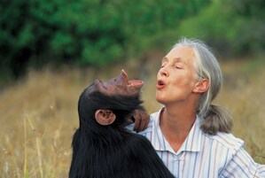 La ecologista pionera Jane Goodall recibe el premio Tang de Desarrollo Sostenible 2020