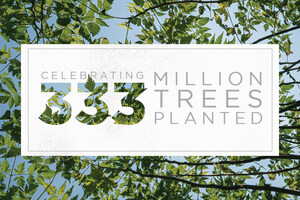 Eden Reforestation Projects Plants a Third of a Billion Trees