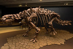 Carnegie Museum of Natural History Re-opens with World Premiere "Dinosaur Armor"