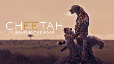 'Cheetah: Beating The Odds' is just one of 50 Doclights natural history and wildlife specials coming to CuriosityStream in 2020.