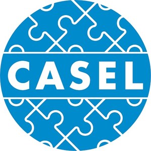LSI Partners With CASEL