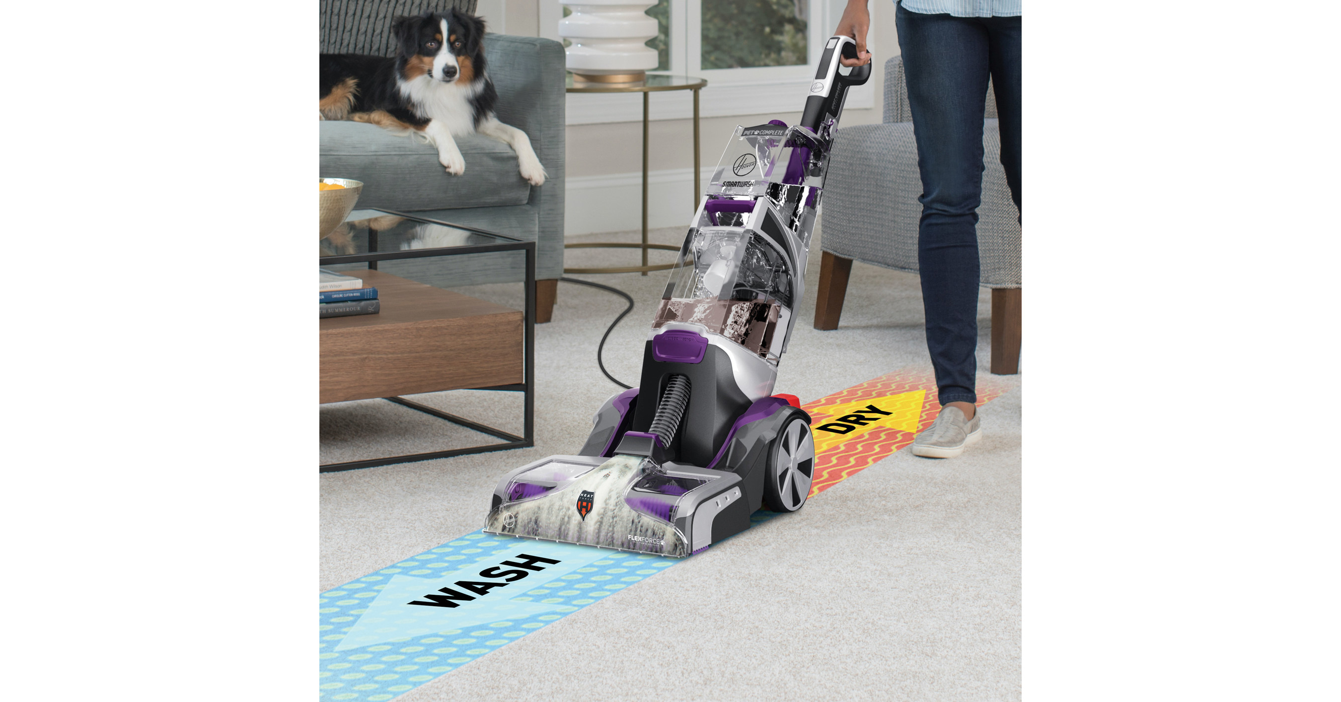 best pet friendly carpet cleaner