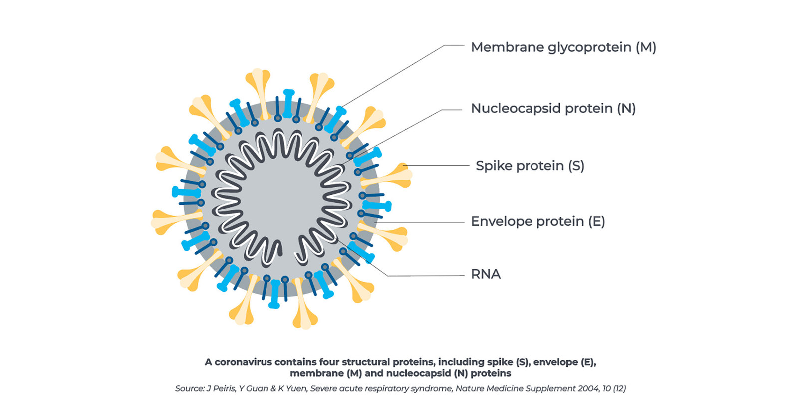 Beckman Coulter's SARS-CoV-2 IgG Antibody Test Receives FDA Emergency ...