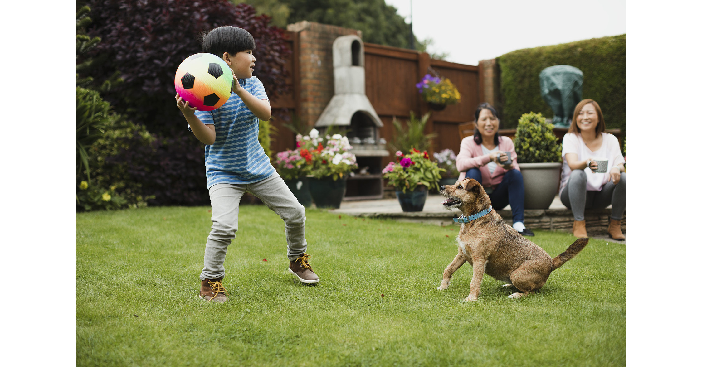 The Health and Mood-Boosting Benefits of Pets 