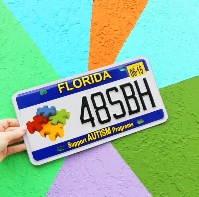 Florida Autism License Plate Announces the Start of 2020 Grant Cycle - PRNewswire