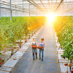 UbiQD and Solvay Announce Greenhouse Technology Development Partnership