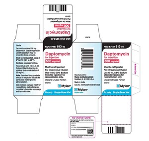 Mylan Initiates Voluntary Nationwide Recall of One Lot of Daptomycin for Injection, Due to the Presence of Particulate