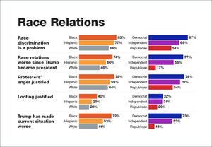 The Reconnect Research/Roanoke College Poll on Race &amp; Police