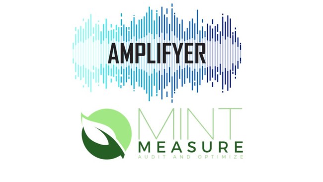 Amplifyer