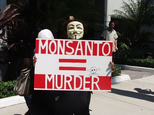 GM crops remain hugely controversial, to the point where (former) GM giant Monsanto is a synonym for corporate evil to many consumers (PRNewsfoto/IDTechEx)