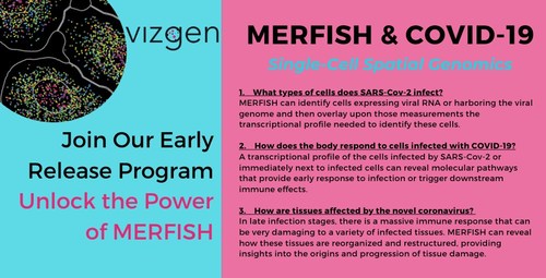 As researchers continue to work on unraveling the many remaining mysteries of COVID-19, MERFISH will be a powerful instrument in their toolbox for answering a wide range of biological questions.