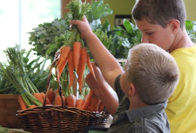 Kids shopping for locally grown carrots from farmers using regenerative pracitces.