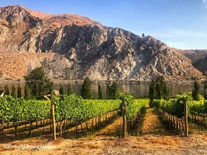 Rocky Pond Estate Winery Adds Accomplished Consulting Winemaker