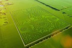 Charlotte's Web unveils 76-acre 'Trust The Earth' farm art to promote increased access to hemp-derived CBD for all