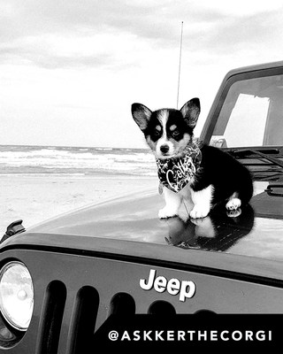 The Jeep® brand is launching its first-ever #JeepTopCanine search this summer, leading up to National Dog Day (Wednesday, August 26).