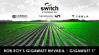 Switch and Capital Dynamics Break Ground on Massive Solar and Battery Storage Developments, Advancing Rob Roy's Gigawatt Nevada