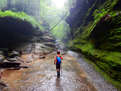 Turkey Run State Park, IN