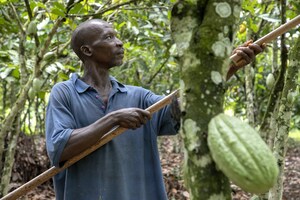 GODIVA Joins Earthworm Foundation To Promote Sustainable Change In The Cocoa Sector