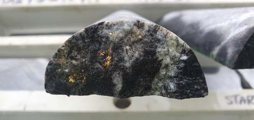 Figure 1. Picture of Visible Gold on Quartz Veinlet in GMDH0028 (CNW Group/Fosterville South Exploration Ltd.)