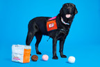 Dogs Can Now Run on Dunkin' Too: Dunkin' and BARK Introduce New Dog Toys for a Cause