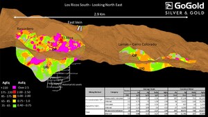 GoGold Announces Initial Mineral Resource Estimate at Los Ricos South