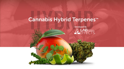 Never before seen Cannabis Hybrid Terpenestm (CHT) by Lab Effects now offer the industry a scaled supply of strain-specific cannabis-derived terpenes that are standardized, and cost-controlled.