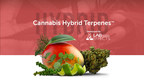 Lab Effects Introduces The Future of Cannabis-Derived Terpenes