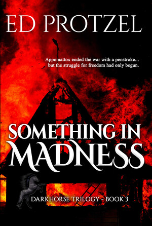 Ed Protzel's Something in Madness Illuminates Reconstruction, the Roots of America's Racial Divide