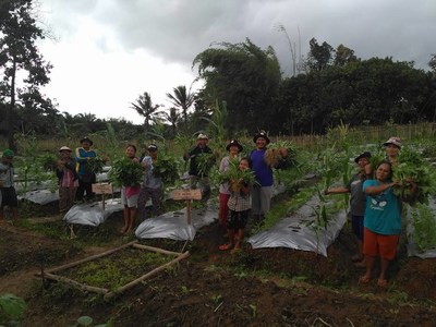 Community in Ketapang, West Kalimantan, reap the benefit fro alternative livelihood programme from GAR that helps to improve their economy and food security through agriculture and farming.