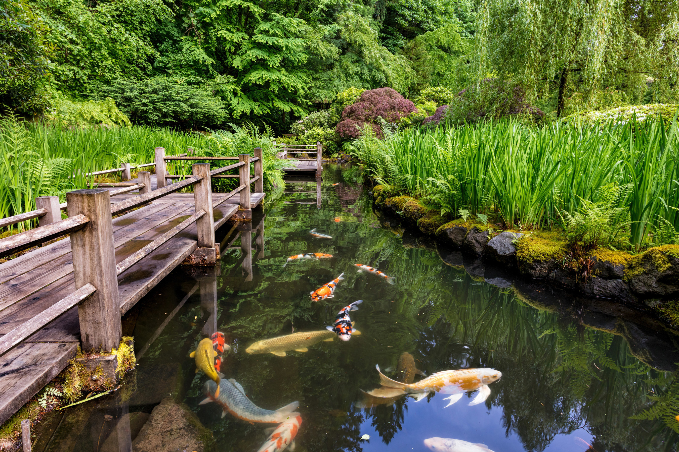 8 Reasons Why A Japanese Garden Might Be The Escape You Need During Covid 19