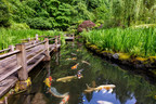 8 Reasons Why a Japanese Garden Might be the Escape you Need During COVID-19