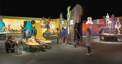 An overview of the “Dogs! A Science Tail” exhibition, opening Aug. 14 at the Denver Museum of Nature & Science. Courtesy of California Science Center