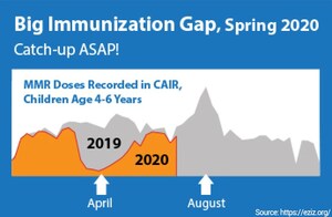 Whether Schools Hold Distance Learning or Classroom Instruction this Fall, Back-to-School Immunizations are Still Required