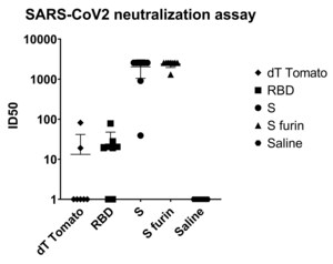 Providence Therapeutics Reports Supportive Preclinical Data for its COVID-19 Vaccine Candidate (PTX-COVID19-B)