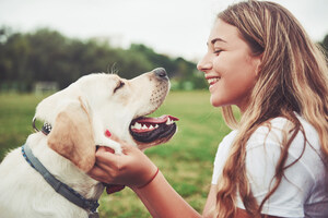 4 Tips for Welcoming a New Dog into Your Home