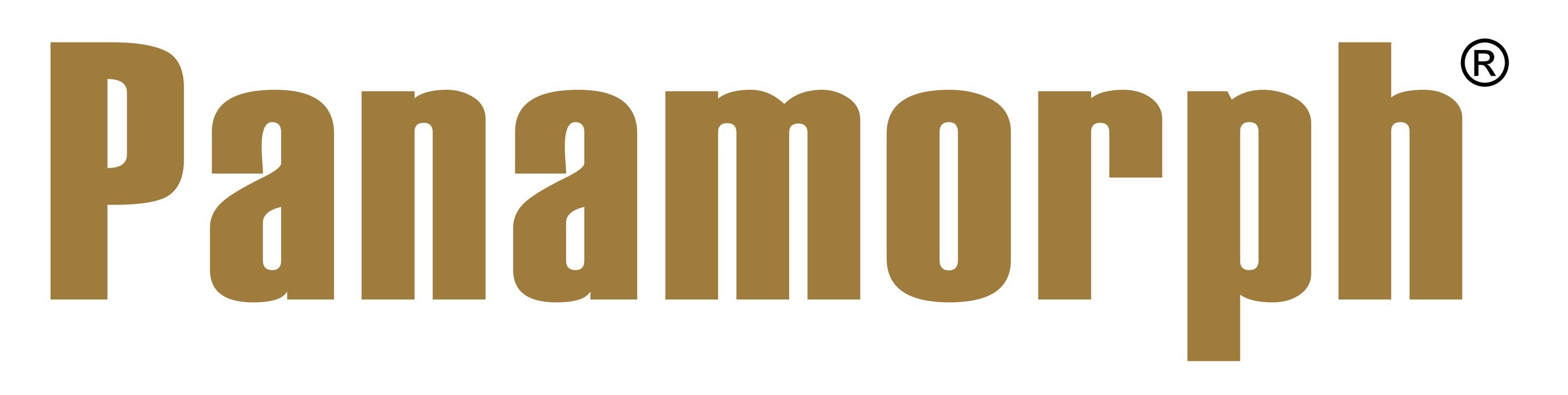 Panamorph's Reactive Progressive Imaging Technology Leverages AI to ...