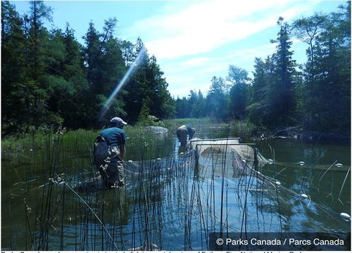 Des employés de Parcs Canada montent un filet afin d’étudier les poissons des eaux côtières du parc national marin Fathom Five. (Groupe CNW/Parcs Canada)