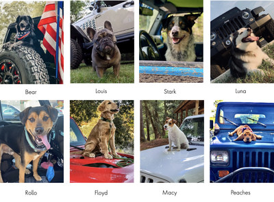 The Jeep® brand announced the eight #JeepTopCanine finalists, chosen from thousands of entries. The winning dog (voted for by fans online) will be named the first-ever #JeepTopCanine on National Dog Day on Wed., August 26.