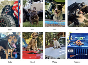 Jeep® Brand Announces Eight #JeepTopCanine Finalists; Winning Pup to Be Crowned on National Dog Day, Wed., Aug. 26, 2020