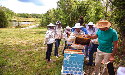 IoT-enabled beehives on the SAS campus in Cary, NC, use streaming analytics to help beekeepers track each hive’s health. (Photo courtesy of SAS)